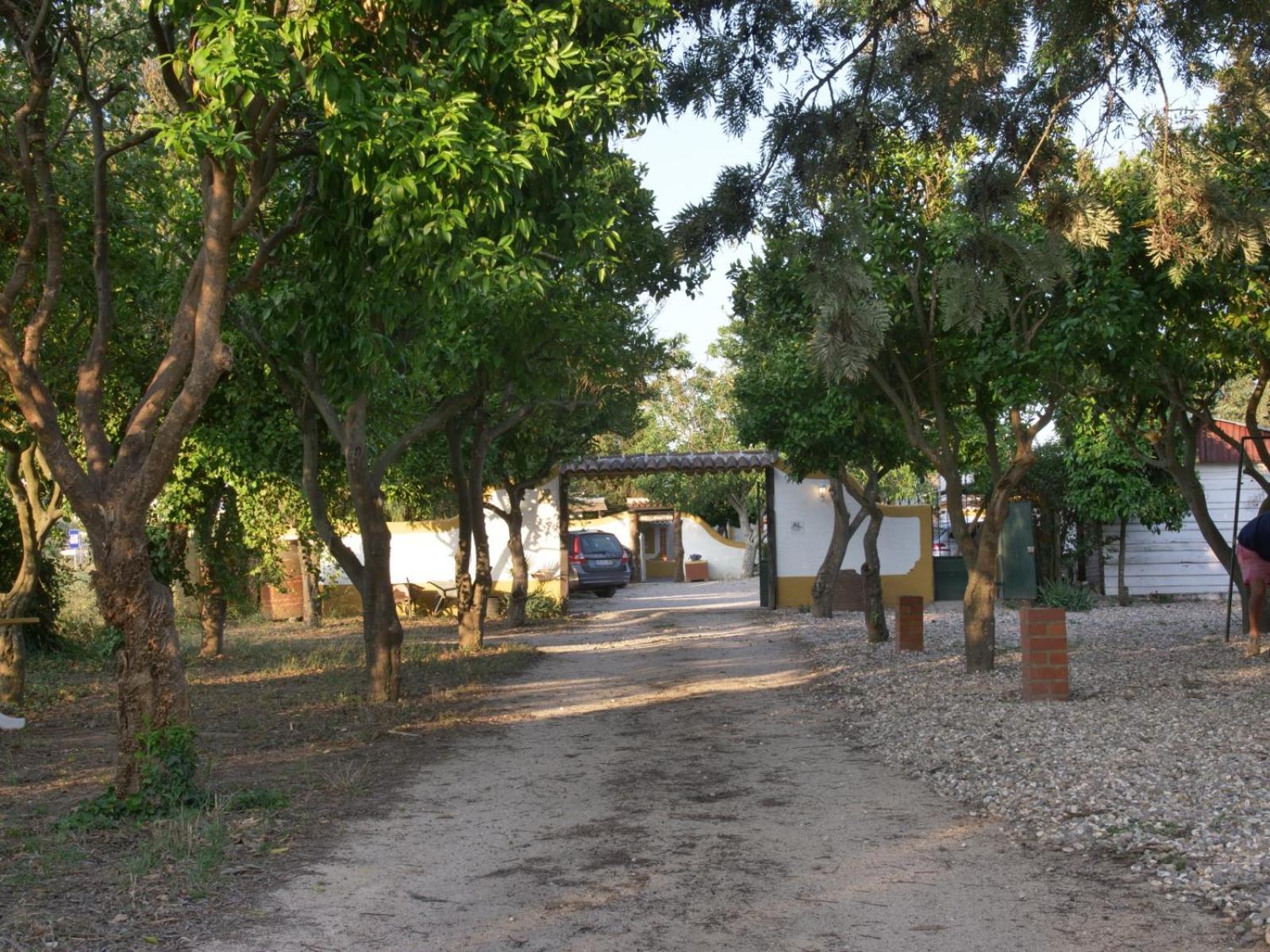 Pateo Das Laranjeiras Tomar Exterior foto